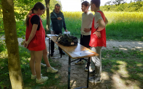 Postřehový test